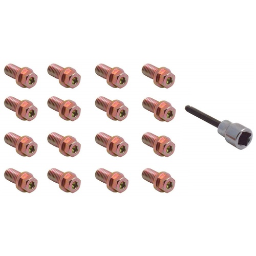 Extractor Bolts 3/816 x 3/4 Inch Allen Head set 16